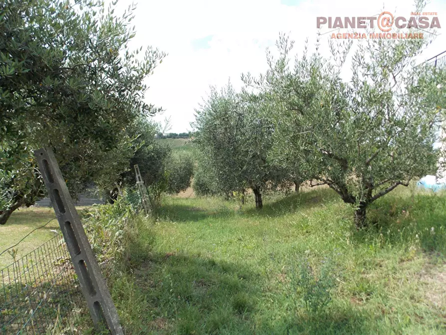 Immagine 13 di Casa indipendente in vendita  in Contrada Lava a Offida