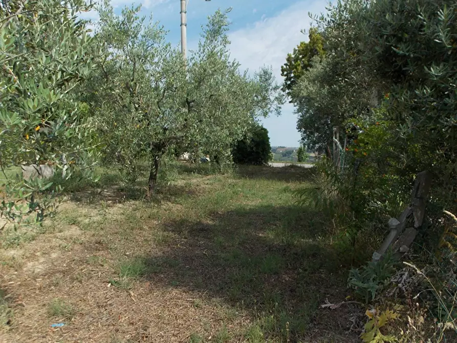 Immagine 14 di Casa indipendente in vendita  in Contrada Lava a Offida