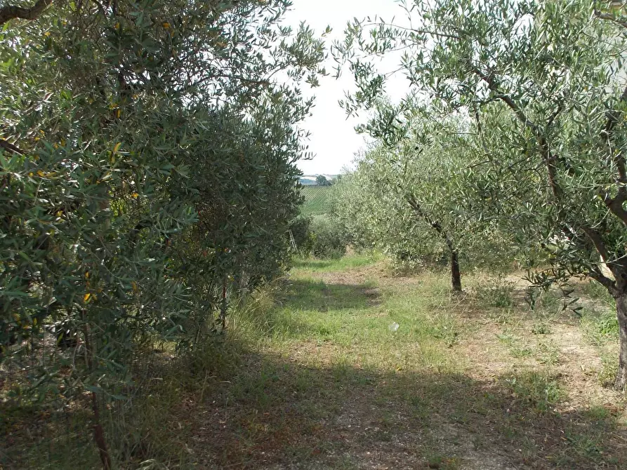 Immagine 15 di Casa indipendente in vendita  in Contrada Lava a Offida