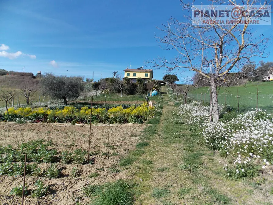 Immagine 4 di Rustico / casale in vendita  in Contrada Sant'Egidio a Monsampolo Del Tronto