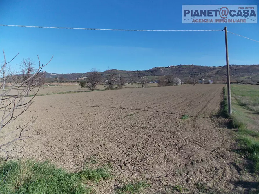 Immagine 3 di Terreno agricolo in vendita  in Via Piave a Spinetoli
