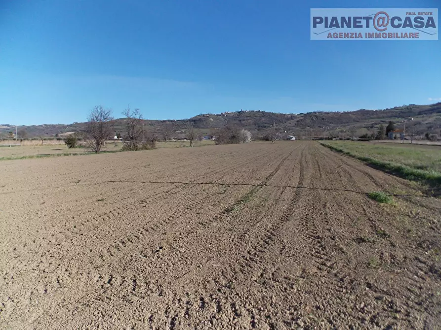 Immagine 4 di Terreno agricolo in vendita  in Via Piave a Spinetoli