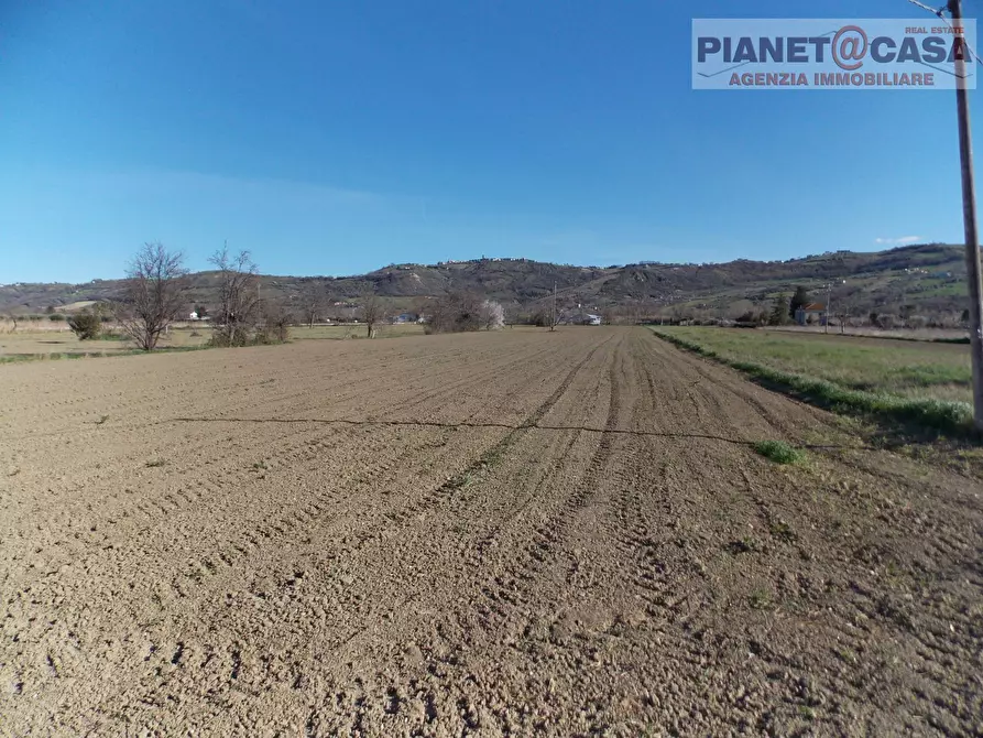 Immagine 5 di Terreno agricolo in vendita  in Via Piave a Spinetoli