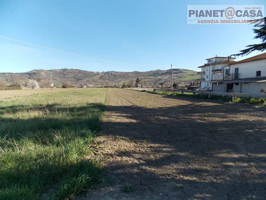 Immagine 2 di Terreno agricolo in vendita  in Via Piave a Spinetoli
