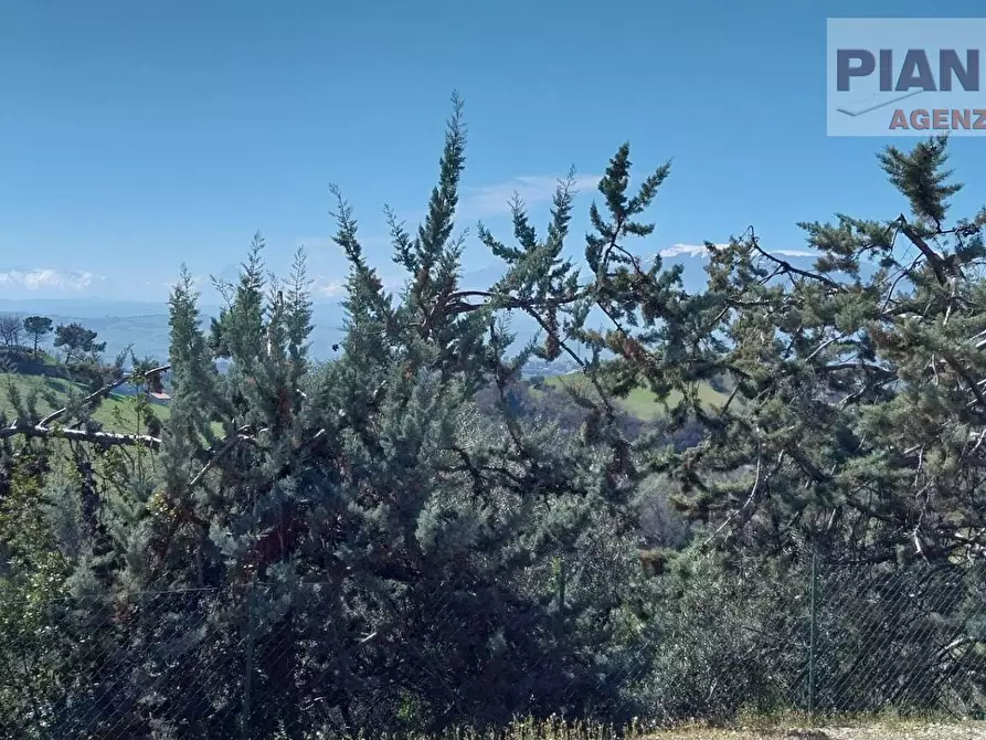 Immagine 18 di Appartamento in vendita  in Via Francesco Orazi a Castorano