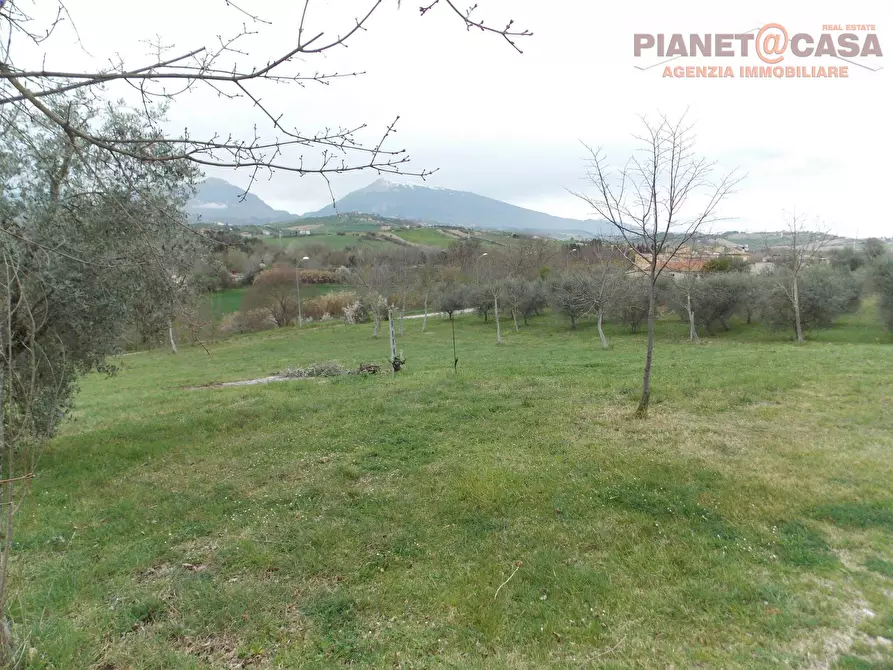 Immagine 18 di Casa indipendente in vendita  in Via Salvatore a Torre a Sant'omero