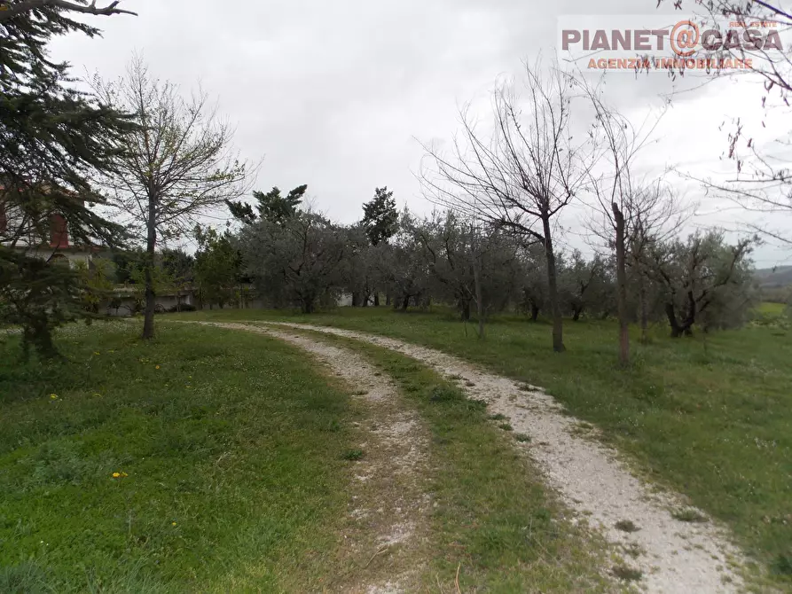 Immagine 15 di Casa indipendente in vendita  in Via Salvatore a Torre a Sant'omero