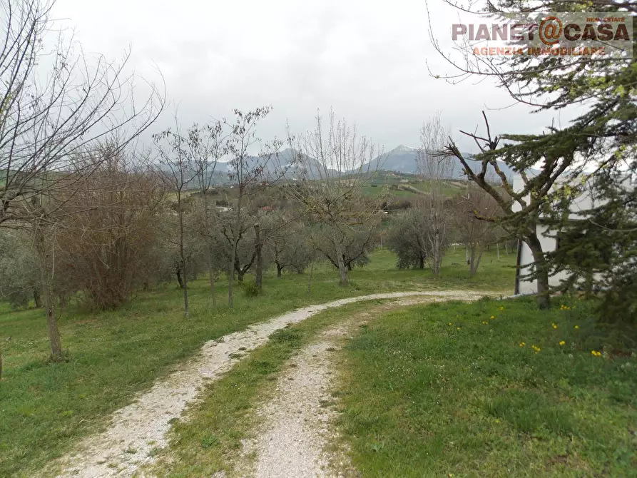 Immagine 14 di Casa indipendente in vendita  in Via Salvatore a Torre a Sant'omero