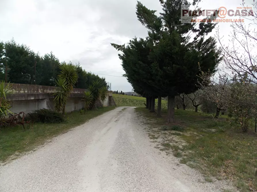 Immagine 17 di Casa indipendente in vendita  in Via Salvatore a Torre a Sant'omero
