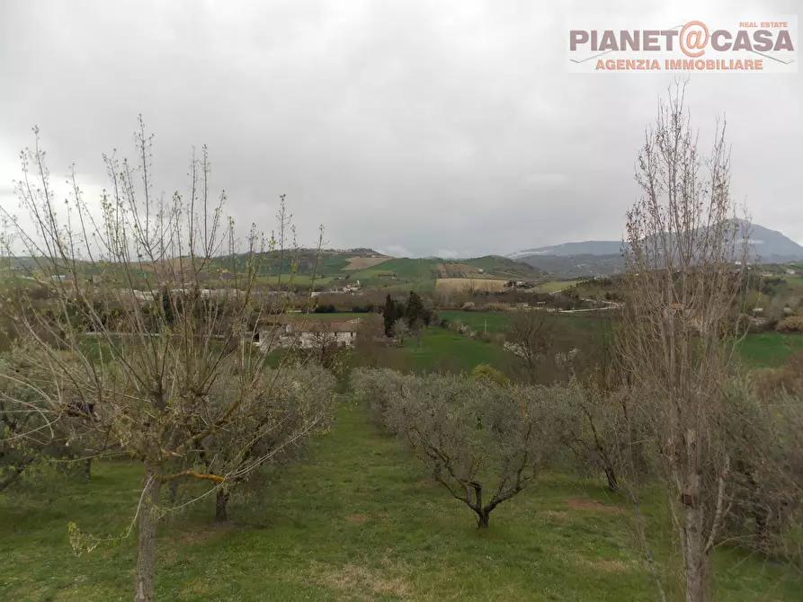Immagine 20 di Casa indipendente in vendita  in Via Salvatore a Torre a Sant'omero