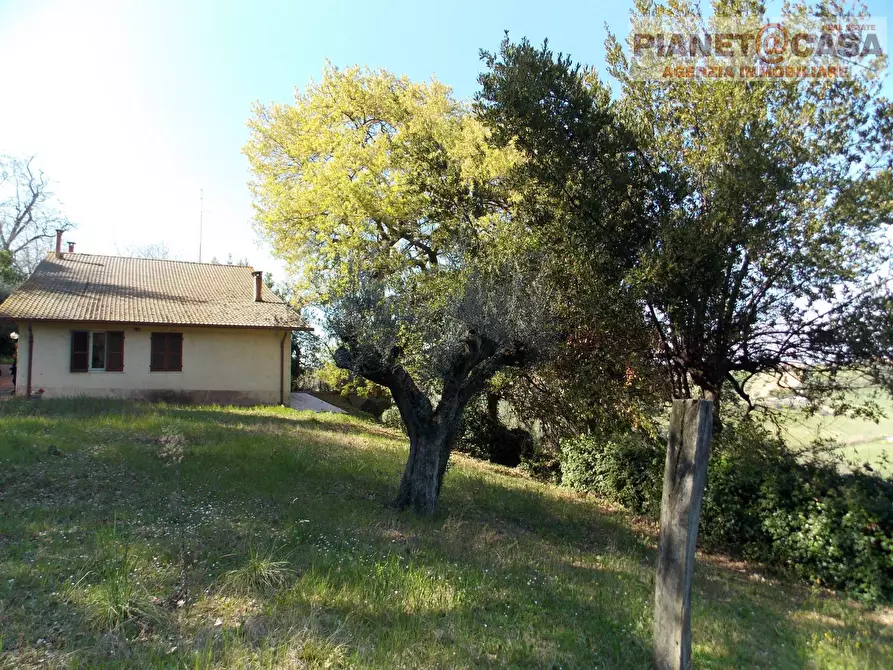 Immagine 5 di Casa indipendente in vendita  in Contrada Vivare a Colli Del Tronto