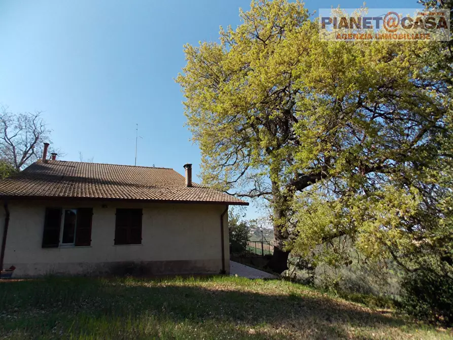 Immagine 6 di Casa indipendente in vendita  in Contrada Vivare a Colli Del Tronto