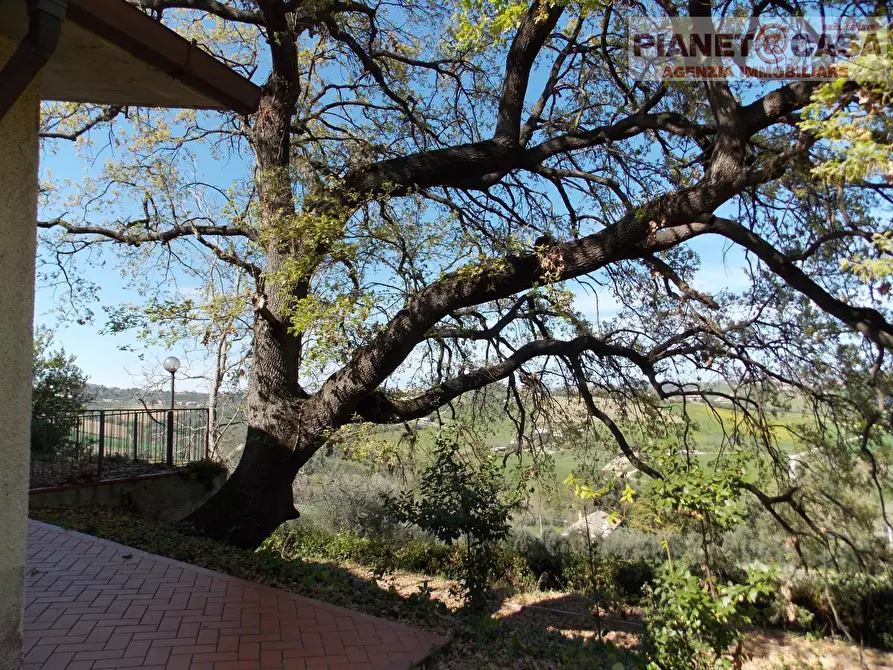 Immagine 7 di Casa indipendente in vendita  in Contrada Vivare a Colli Del Tronto