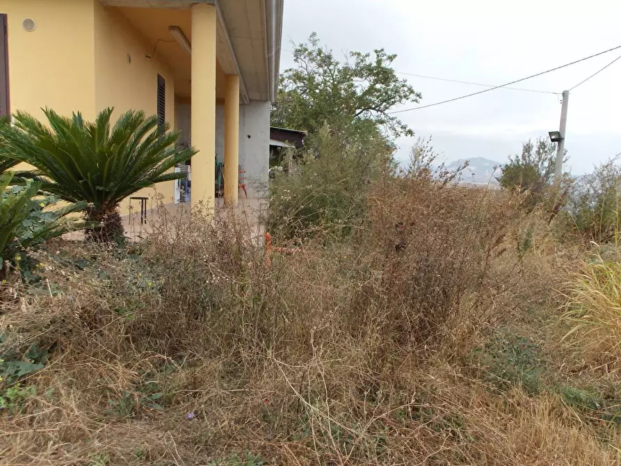 Immagine 23 di Appartamento in vendita  in Contrada dell' Olmo a Controguerra