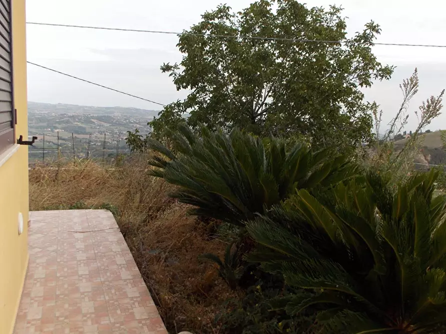 Immagine 22 di Appartamento in vendita  in Contrada dell' Olmo a Controguerra