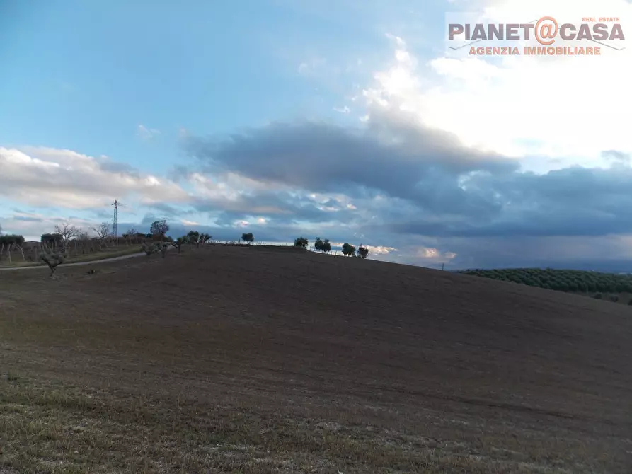 Immagine 2 di Terreno agricolo in vendita  in Contrada Ferretti a Spinetoli