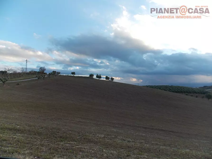 Immagine 6 di Terreno agricolo in vendita  in Contrada Ferretti a Spinetoli