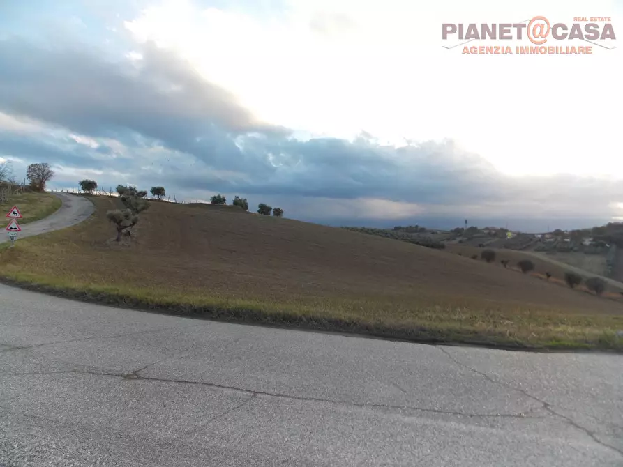 Immagine 3 di Terreno agricolo in vendita  in Contrada Ferretti a Spinetoli