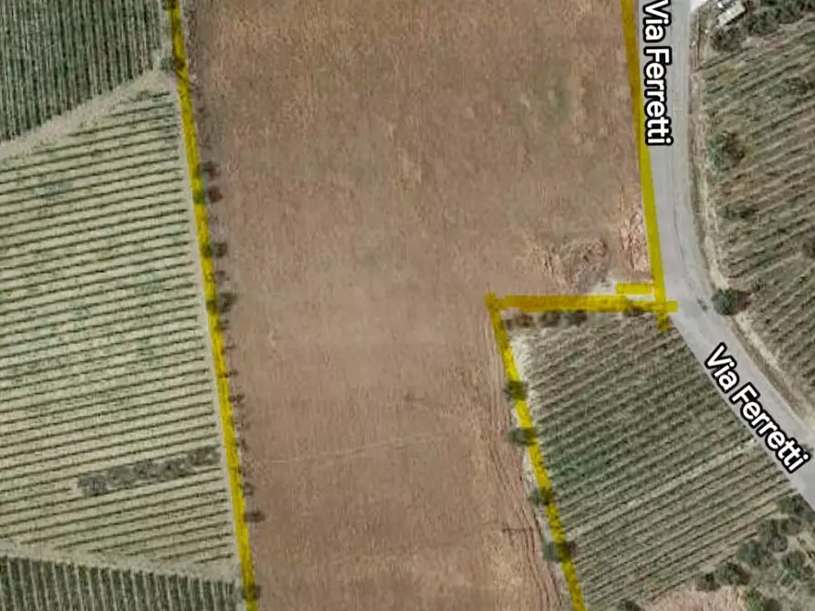 Immagine 4 di Terreno agricolo in vendita  in Contrada Ferretti a Spinetoli