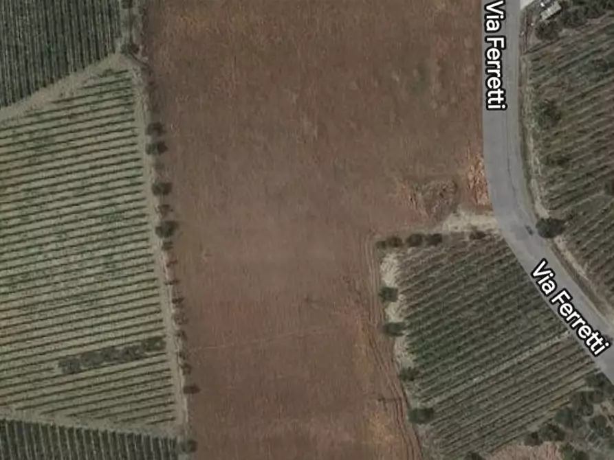 Immagine 5 di Terreno agricolo in vendita  in Contrada Ferretti a Spinetoli