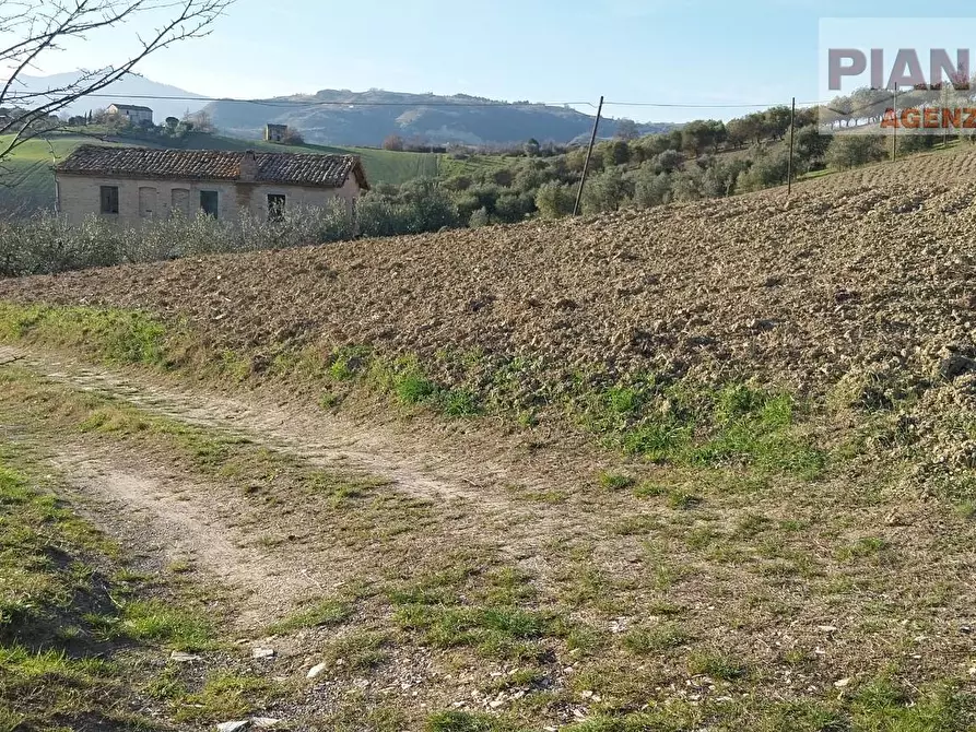 Immagine 23 di Casa indipendente in vendita  in Contrada Palazzi valle S. Martino a Appignano Del Tronto