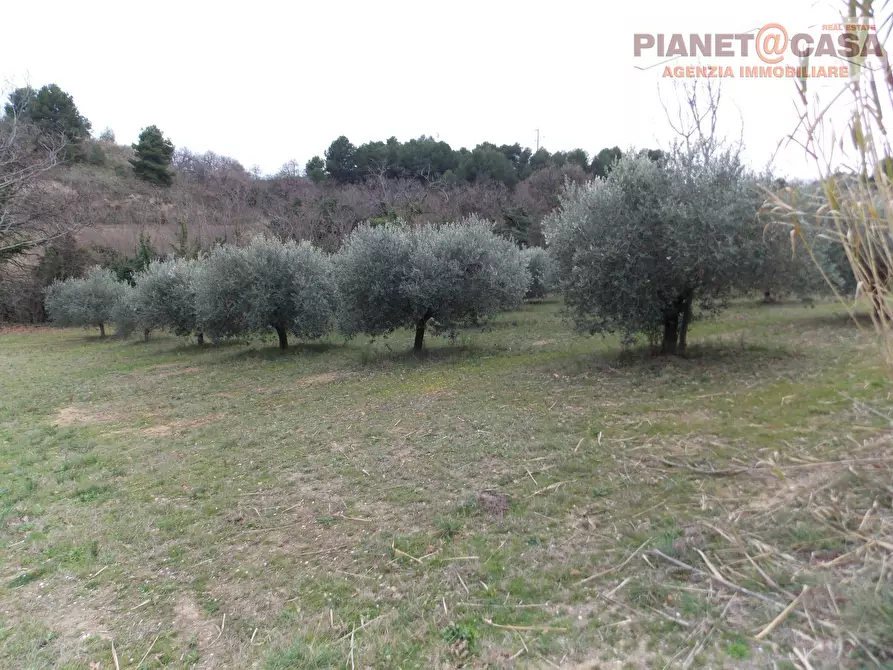 Immagine 16 di Rustico / casale in vendita  in Contrada Santa Lucia a San Benedetto Del Tronto