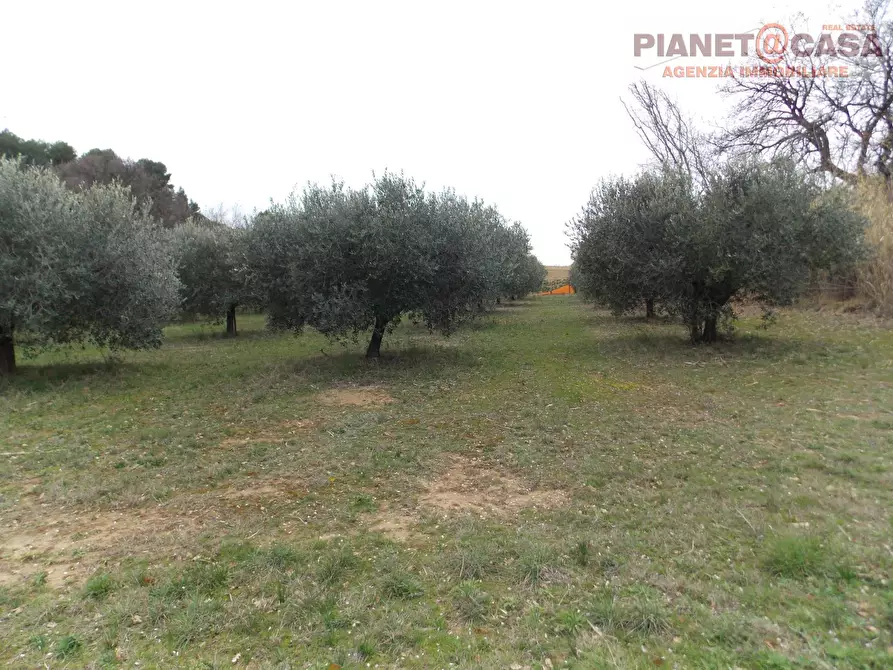 Immagine 18 di Rustico / casale in vendita  in Contrada Santa Lucia a San Benedetto Del Tronto