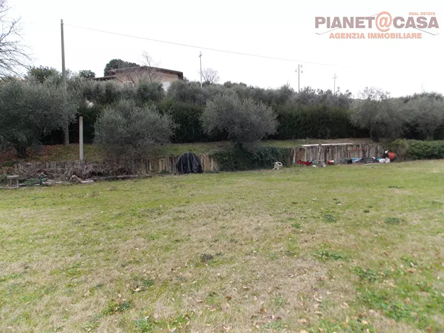 Immagine 20 di Rustico / casale in vendita  in Contrada Santa Lucia a San Benedetto Del Tronto