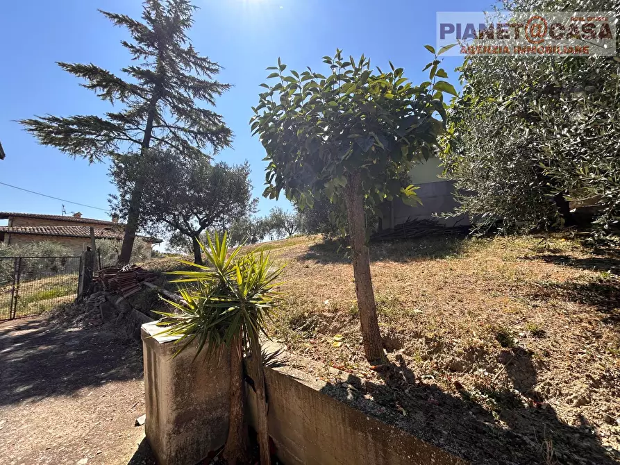 Immagine 2 di Casa indipendente in vendita  in via Chiarini a Castel Di Lama