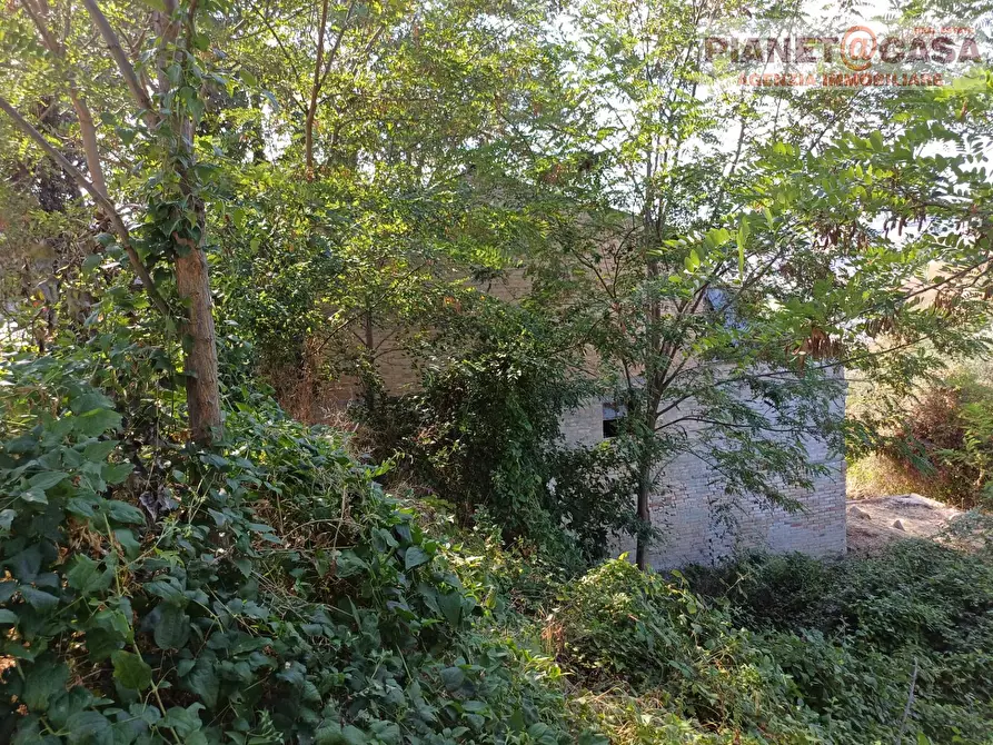 Immagine 9 di Rustico / casale in vendita  in Strada Provinciale Appignano a Appignano Del Tronto