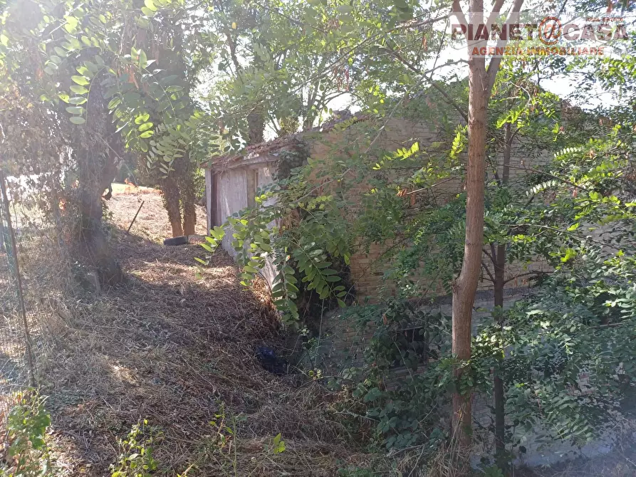 Immagine 10 di Rustico / casale in vendita  in Strada Provinciale Appignano a Appignano Del Tronto