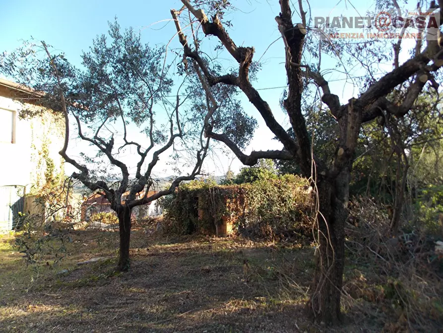 Immagine 22 di Casa indipendente in vendita  in Strada Provinciale 81 a Spinetoli