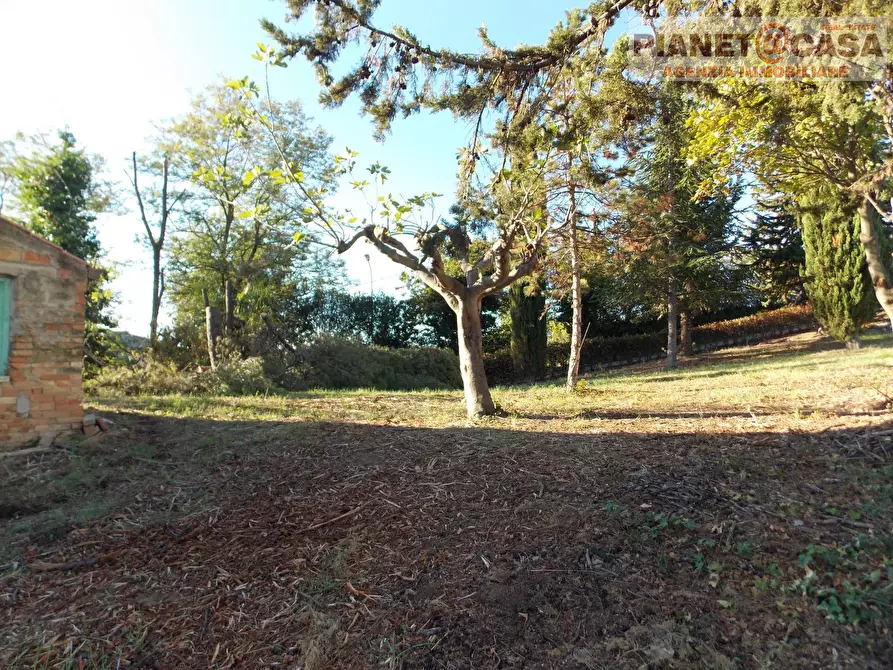 Immagine 24 di Casa indipendente in vendita  in Strada Provinciale 81 a Spinetoli