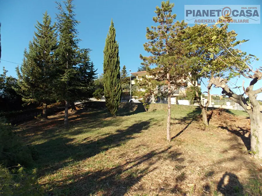 Immagine 25 di Casa indipendente in vendita  in Strada Provinciale 81 a Spinetoli