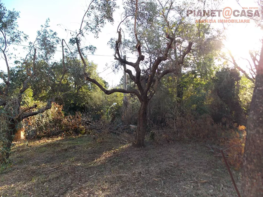 Immagine 26 di Casa indipendente in vendita  in Strada Provinciale 81 a Spinetoli