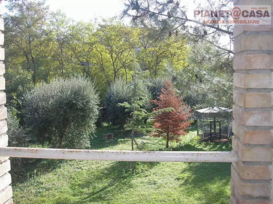 Immagine 6 di Casa indipendente in vendita  in Strada Provinciale 81 a Spinetoli