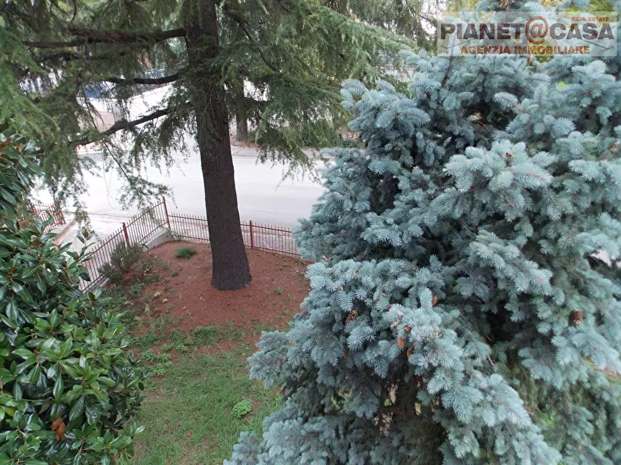 Immagine 22 di Appartamento in vendita  in Via Giacomo Matteotti a Offida