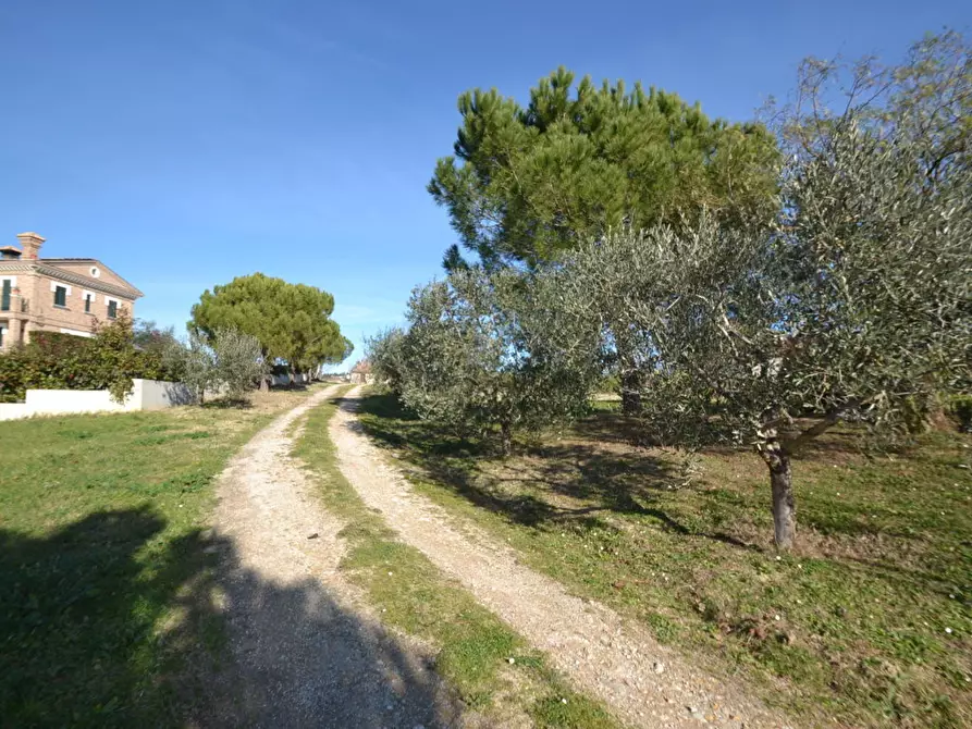 Immagine 20 di Villa in vendita  in Via Colleappeso a Monteprandone