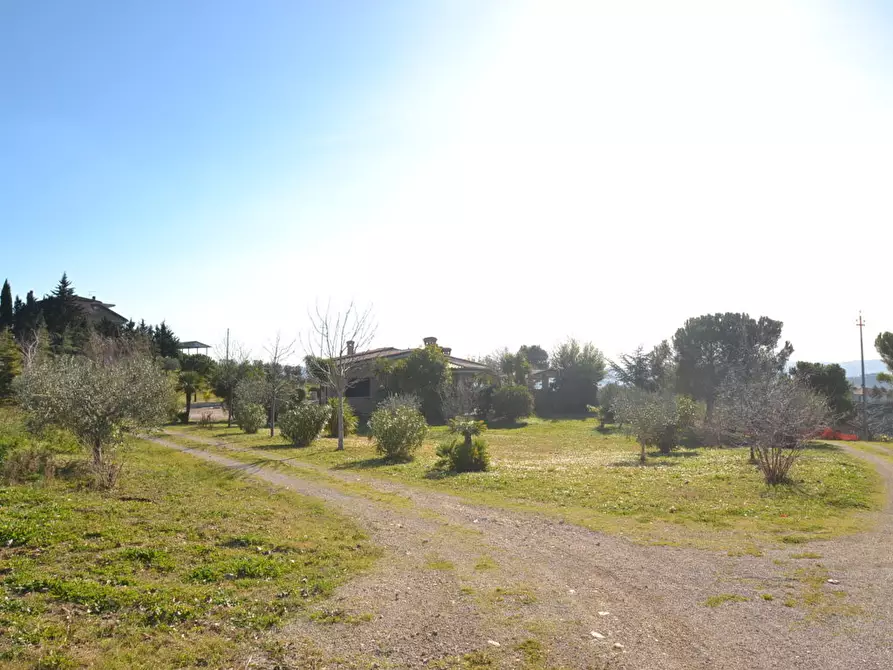 Immagine 21 di Villa in vendita  in Via Colleappeso a Monteprandone