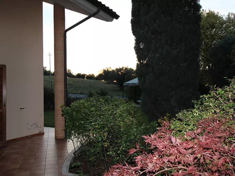 Immagine 27 di Villa in vendita  in via ugo foscolo a Appignano Del Tronto