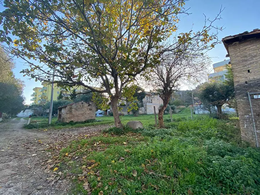 Immagine 3 di Terreno residenziale in vendita  in Via Ischia a Grottammare