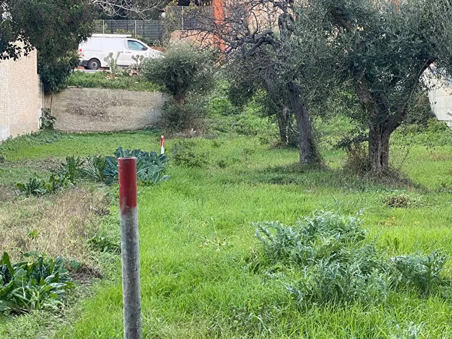 Immagine 6 di Terreno residenziale in vendita  in Via Ischia a Grottammare