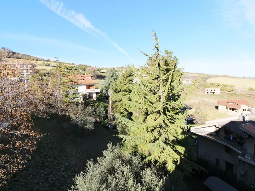 Immagine 13 di Appartamento in vendita  in C.da giardino a Colonnella