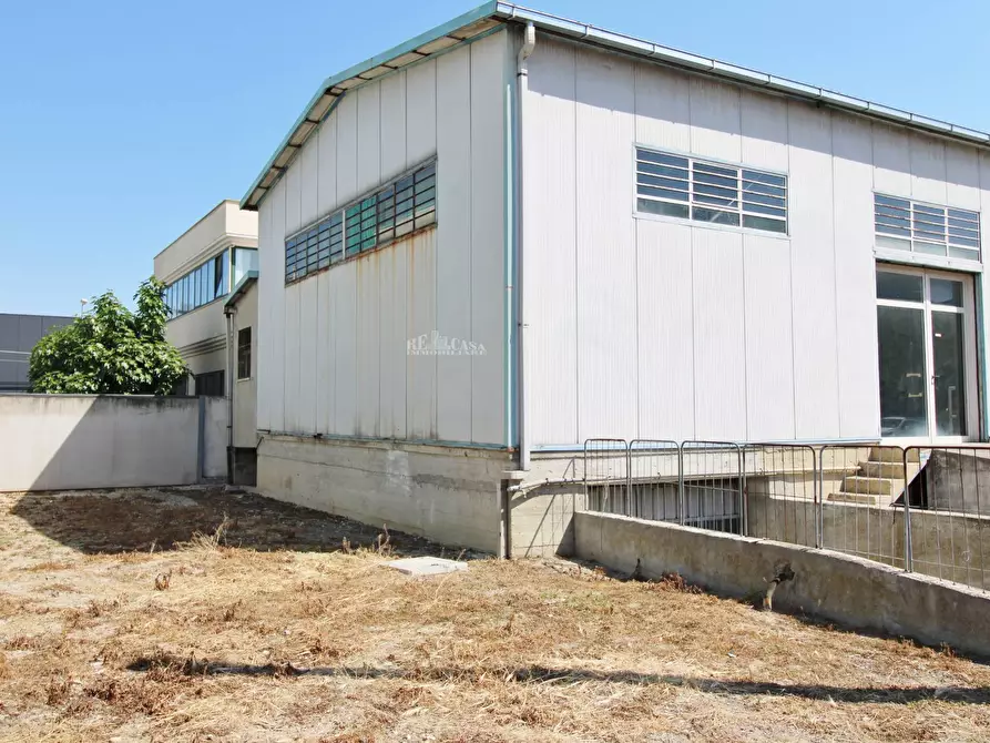 Immagine 2 di Laboratorio in vendita  in VIA Valtellina a San Benedetto Del Tronto