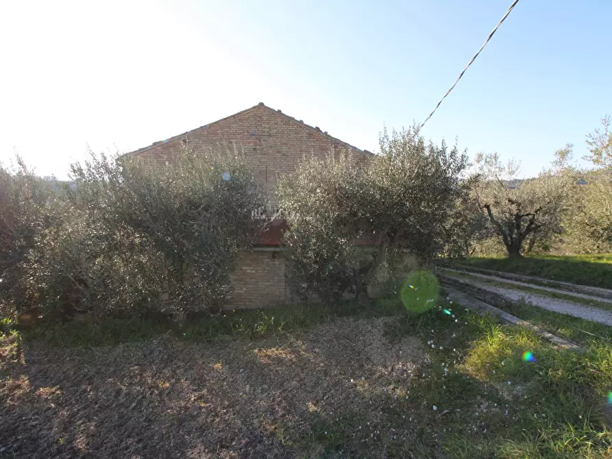 Immagine 5 di Rustico / casale in vendita  in via valle apparignano a Acquaviva Picena
