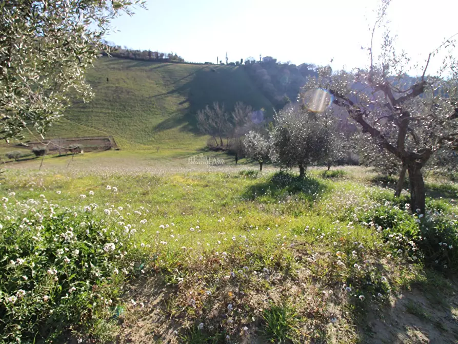 Immagine 12 di Rustico / casale in vendita  in via valle apparignano a Acquaviva Picena