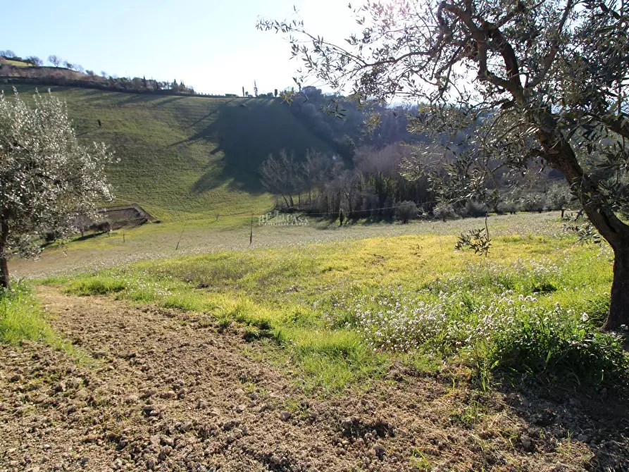 Immagine 13 di Rustico / casale in vendita  in via valle apparignano a Acquaviva Picena