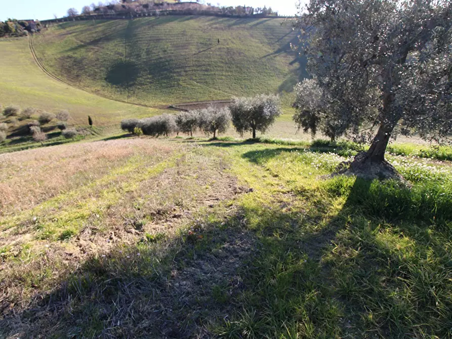 Immagine 14 di Rustico / casale in vendita  in via valle apparignano a Acquaviva Picena