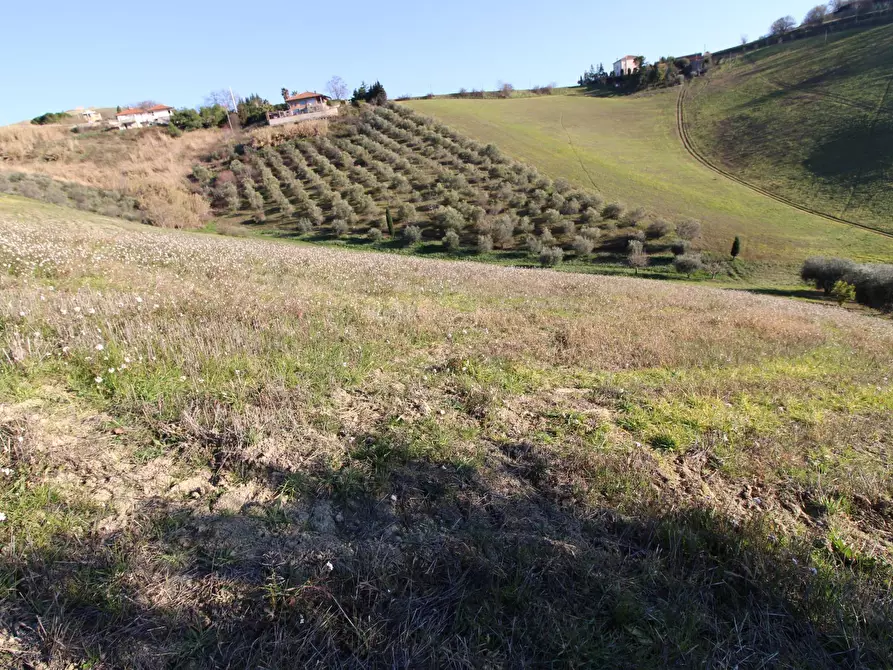 Immagine 16 di Rustico / casale in vendita  in via valle apparignano a Acquaviva Picena
