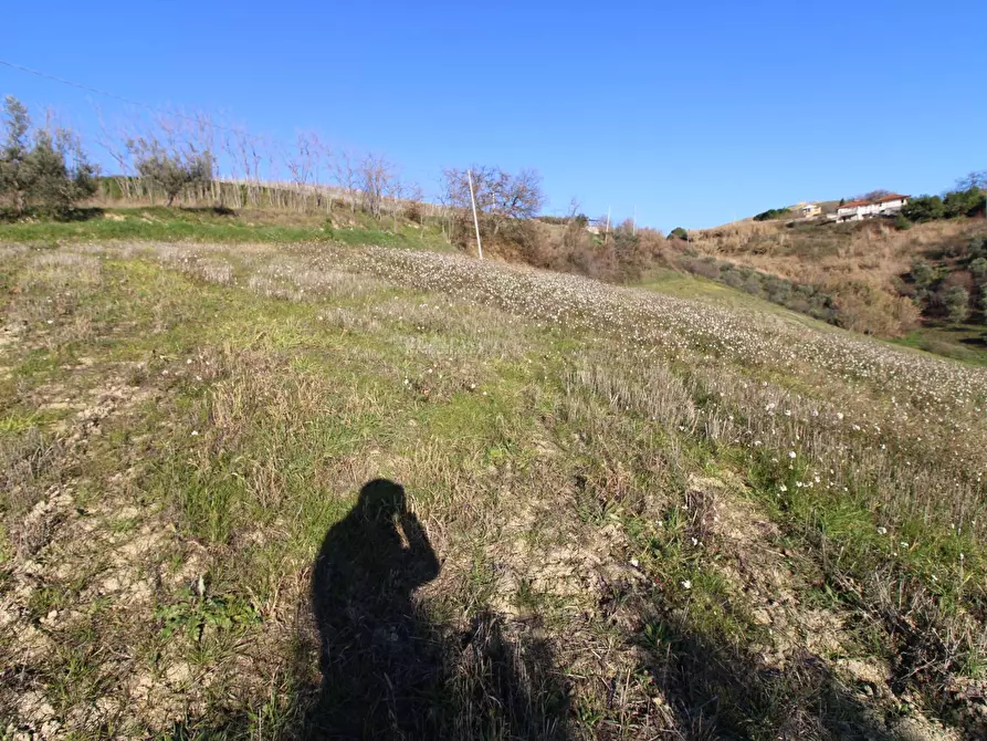 Immagine 18 di Rustico / casale in vendita  in via valle apparignano a Acquaviva Picena